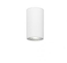 Gener lampa sufitowa 1x10W IP20 biały